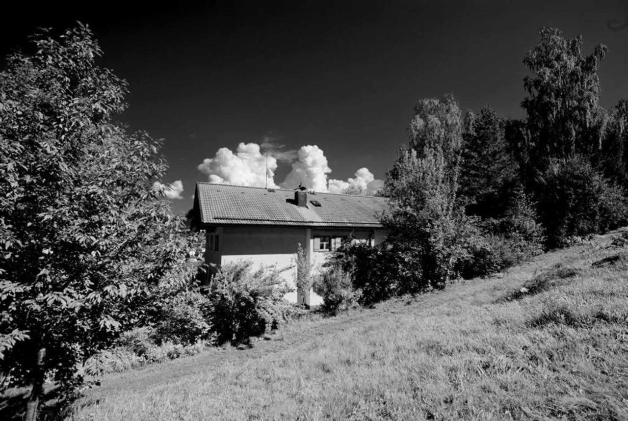 Ferienwohnungen Haus "Wildschuetz" フラウエナウ エクステリア 写真