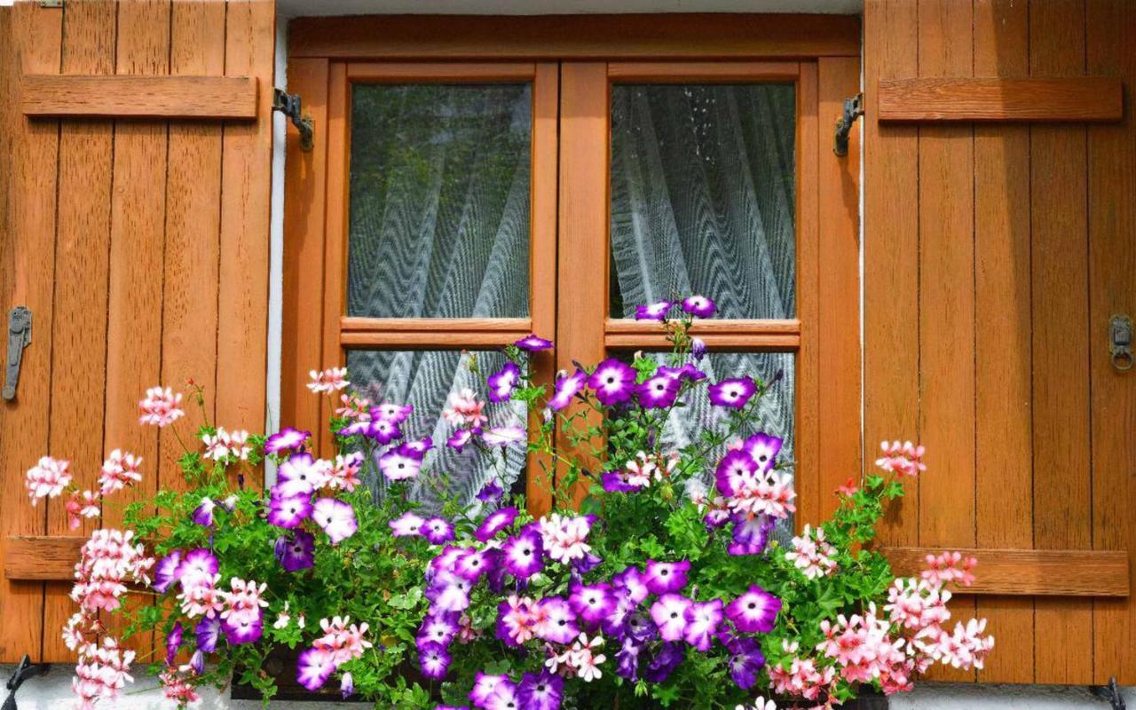 Ferienwohnungen Haus "Wildschuetz" フラウエナウ エクステリア 写真